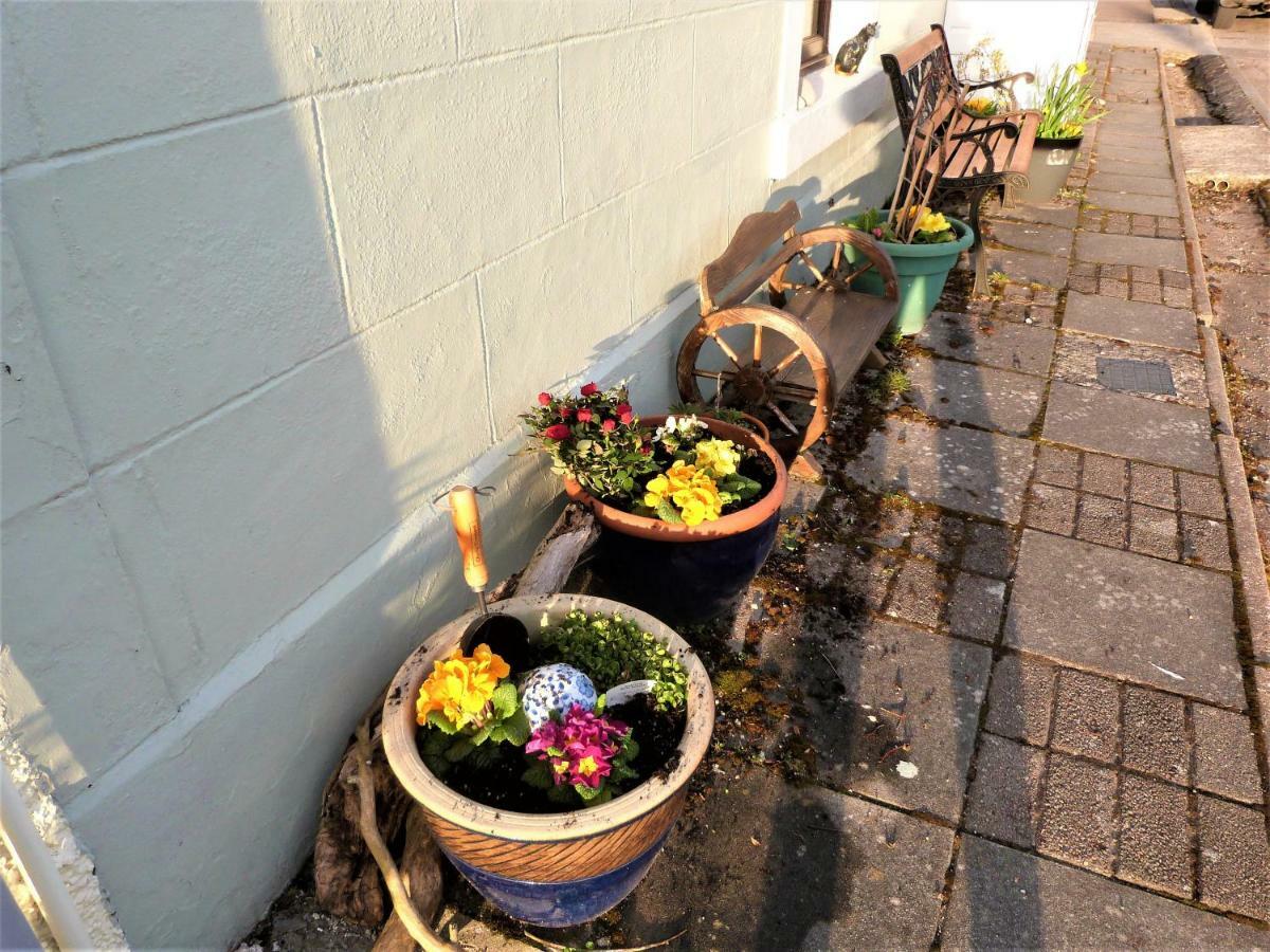 Song Of The Sea, Selkie House Bed and Breakfast Helmsdale Εξωτερικό φωτογραφία